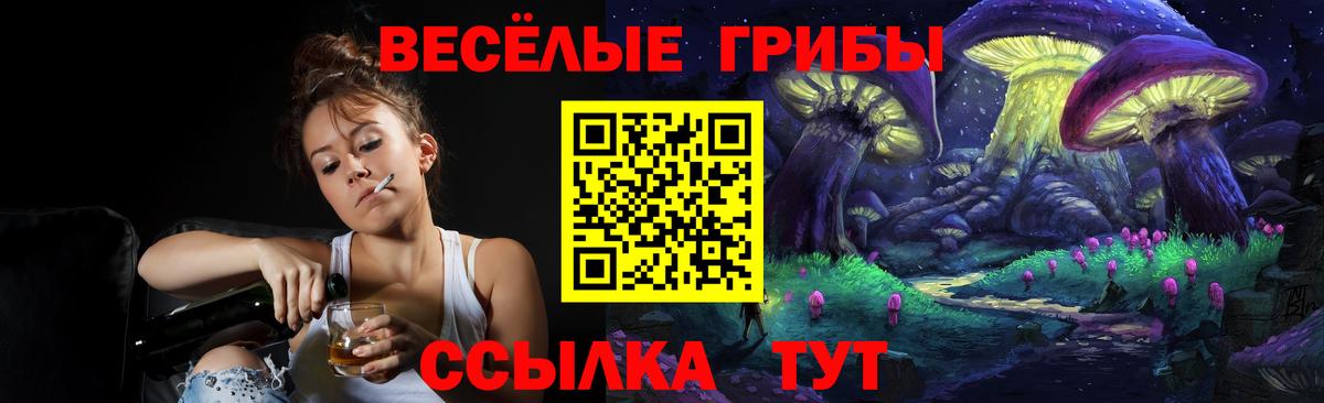 Галлюциногенные грибы Psilocybe Павловский Посад